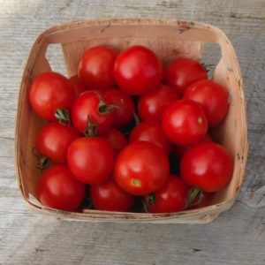 Gardener's delight cherry tomatoes from Yonder Hill Farm