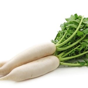 Daikon Radish Seeds Natural Seeds Canada