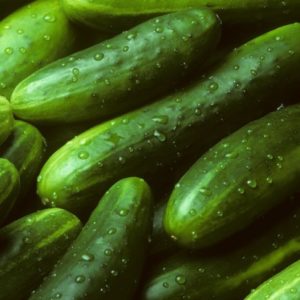 Marketmore Cucumber Seeds Natural Seeds Canada