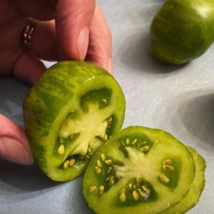 Green zebra tomato seeds from Fuschia Design Shop