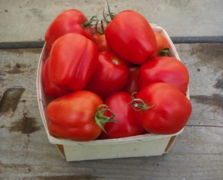 Heinz 2653 paste tomatoes from yonder Hill Farm