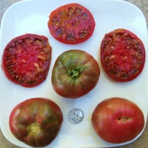 Black Krim Heirloom Tomato Seeds from MrTomatohead