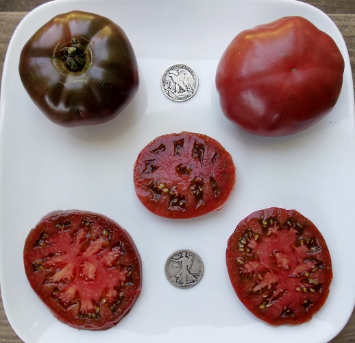 paul robeson tomato