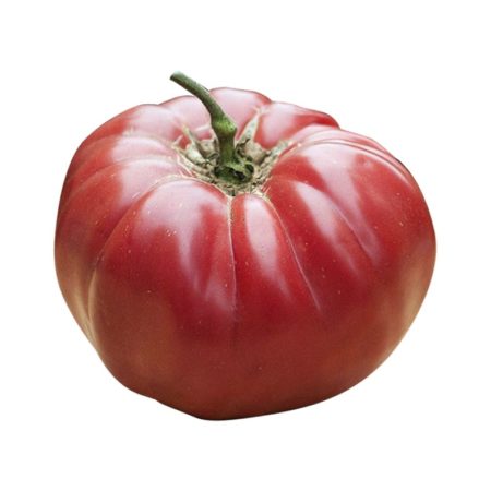 Caspian Pink Heirloom Tomato Seeds from MrTomatohead